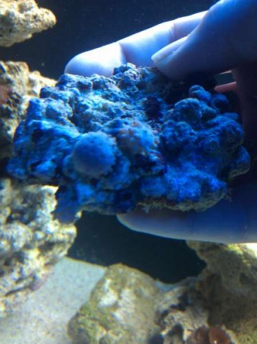 IMG_20121021_161005.jpg