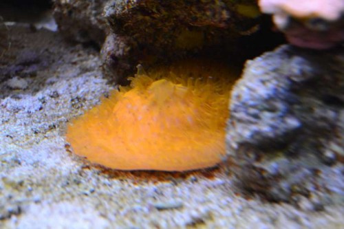 DSC_0753.JPG