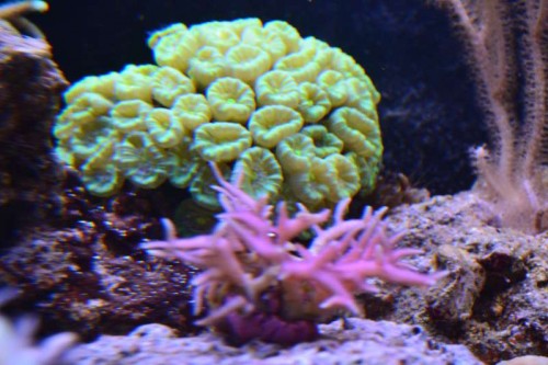 DSC_0764.JPG