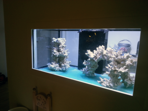 IMG_20121024_171500.png