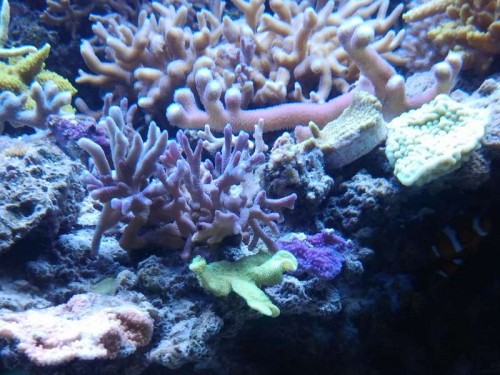 2012-10-16 19.18.22.jpg