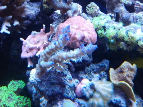 2012-10-16 19.17.24.jpg