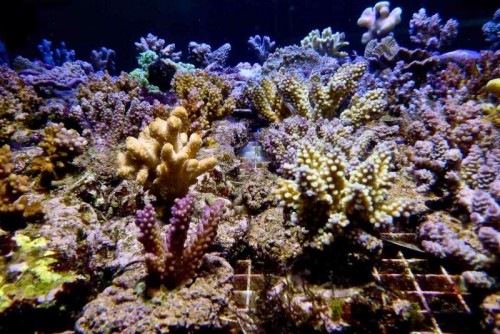 P1020361.jpg
