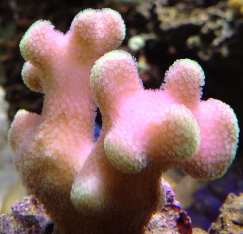 okt 2012 047.jpg