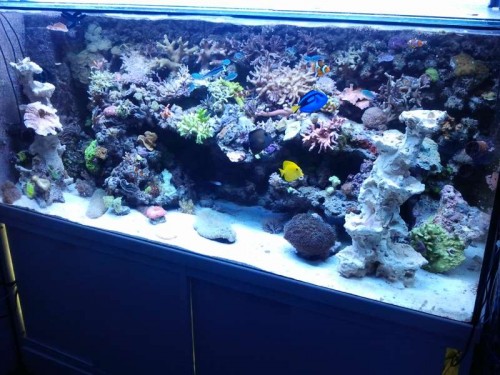 2012-10-17 19.23.28.jpg