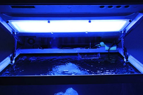 IMG_6014.JPG