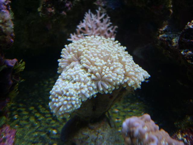 S8001330 (Small).JPG