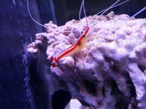 20121030_144047.jpg