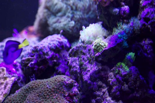 IMG_2336.jpg
