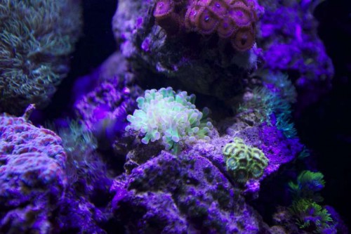 IMG_2338.jpg