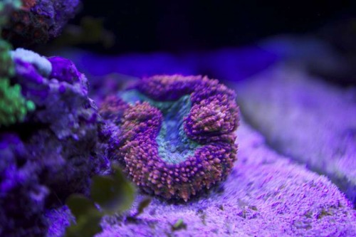 IMG_2342.jpg