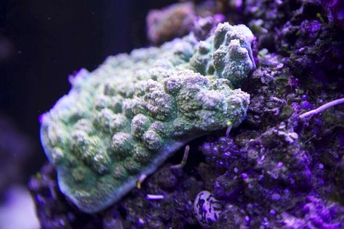 IMG_2344.jpg
