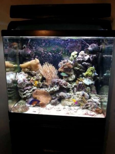 20121029_202638.jpg