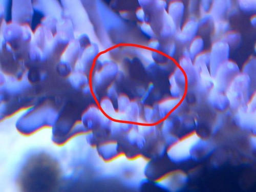 IMG_3300 - version 2.jpg