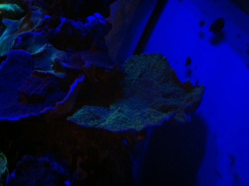 foto6.JPG