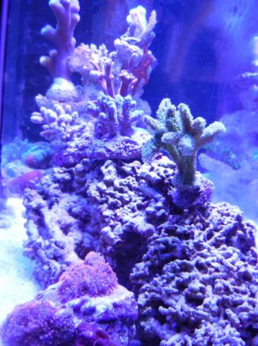 DSCN0229.JPG