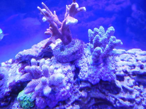 DSCN0225.JPG