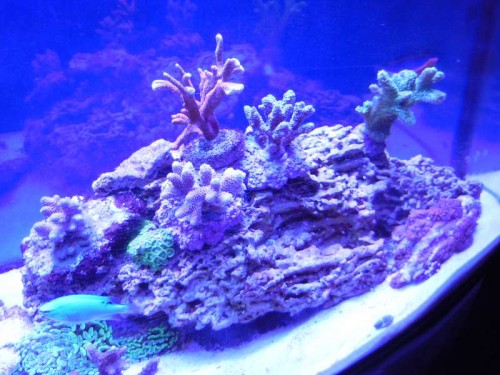 DSCN0228.JPG