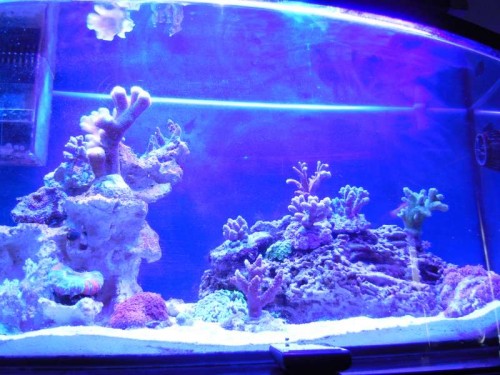 DSCN0221.JPG
