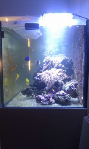 IMAG0691.jpg