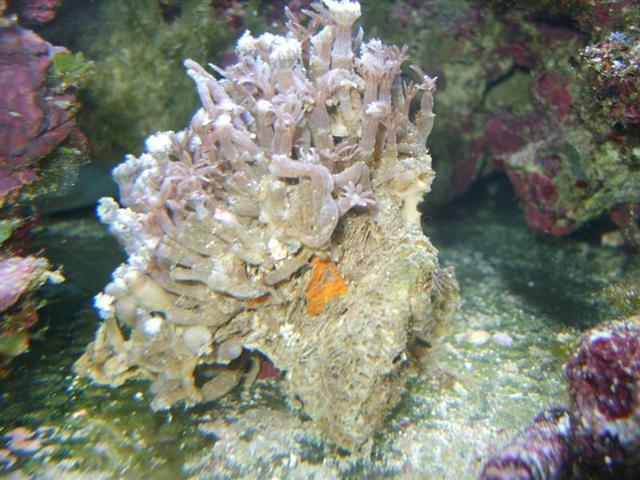 S8001364 (Medium) (Small).JPG