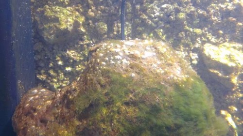 IMAG0126.jpg