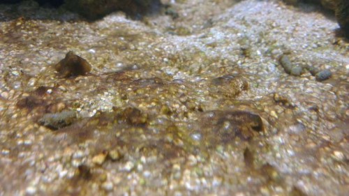 IMAG0128.jpg