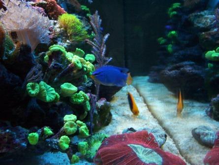 100_2542.jpg