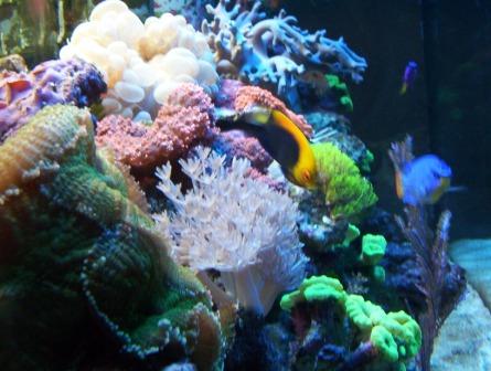 100_2538.jpg