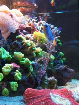 100_2535.jpg