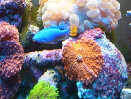 100_2528.jpg
