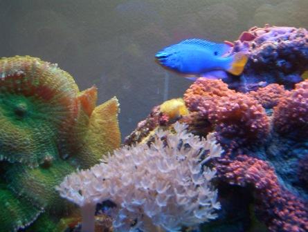 100_2527.jpg