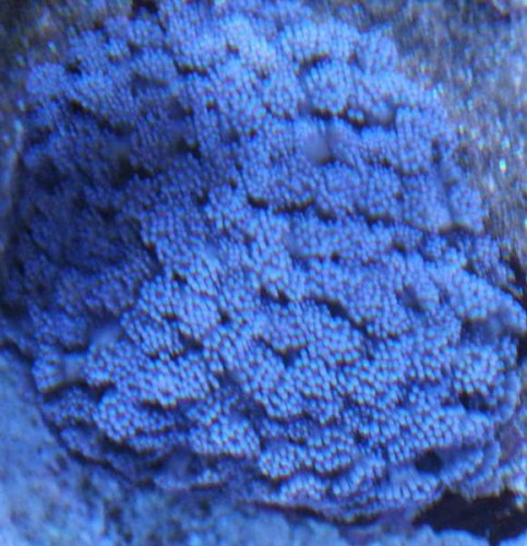 nov 2012 157.jpg