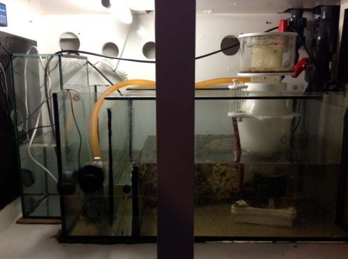 Sump