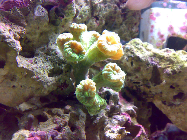 09032007040.jpg