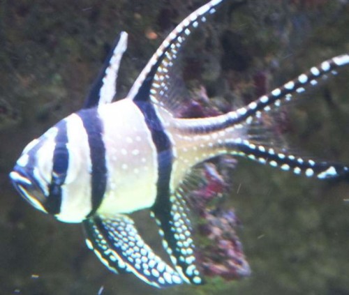 nov 2012 030.jpg