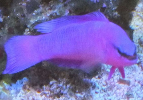 nov 2012 036.jpg