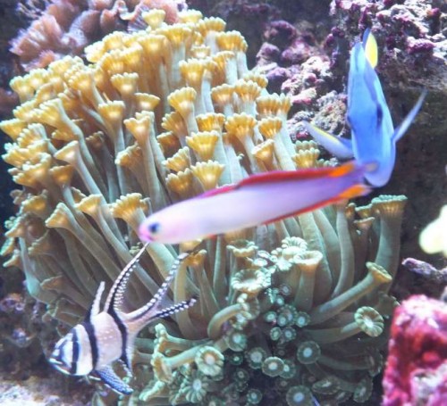 nov 2012 107.jpg