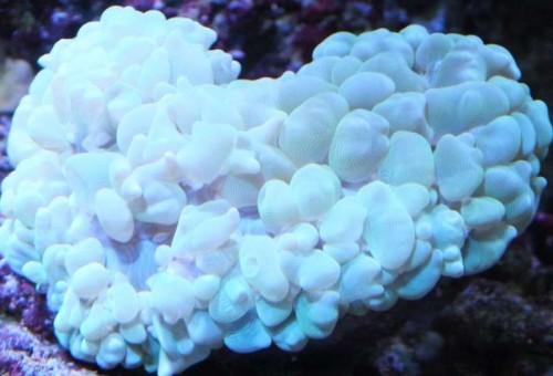 nov 2012 125.jpg