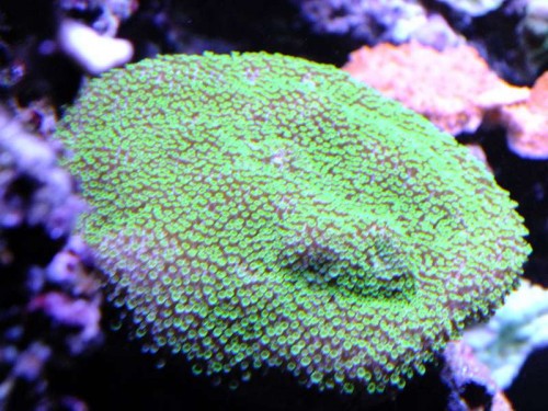 DSCF7838.jpg