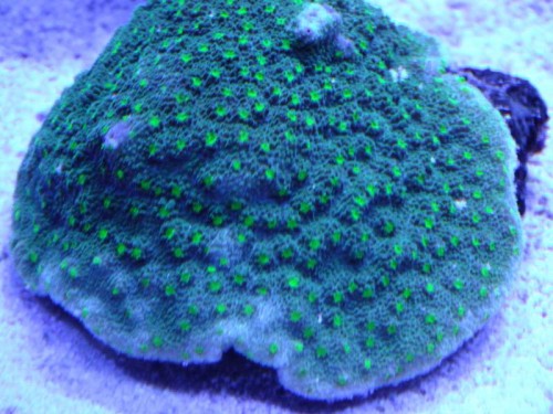 DSCF7839.jpg