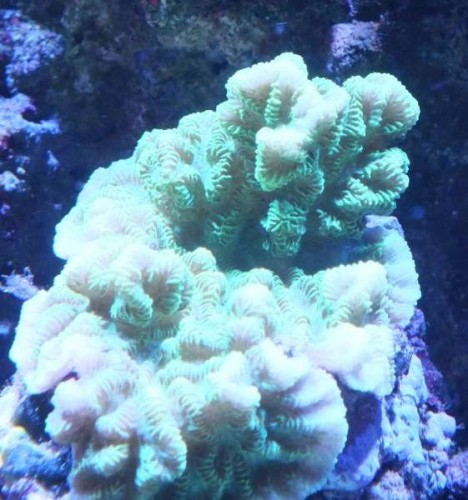 DSCF7826.jpg