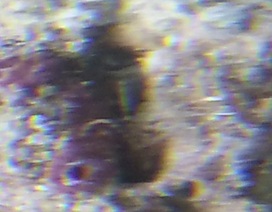 20121116_164112.jpg