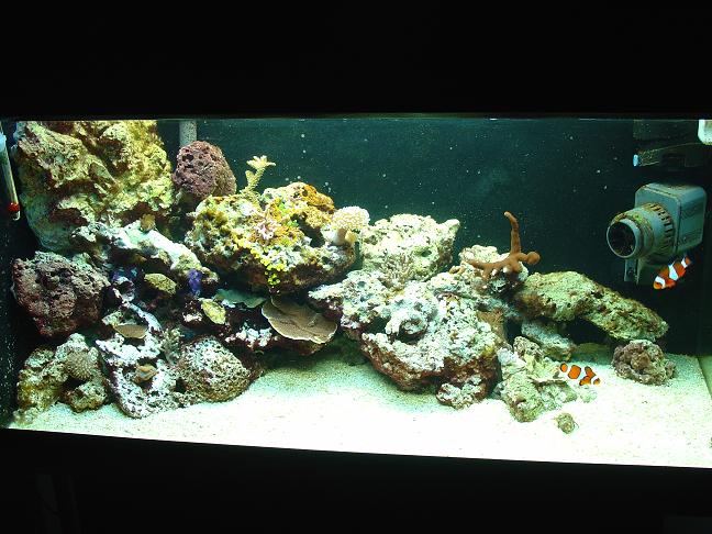 FTS2.JPG