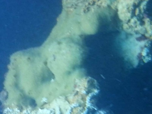 20121121_092412.jpg