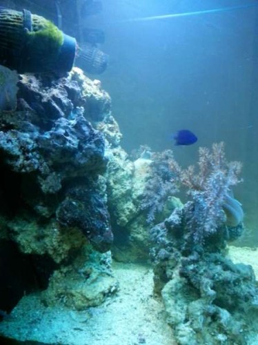 20121121_130646.jpg