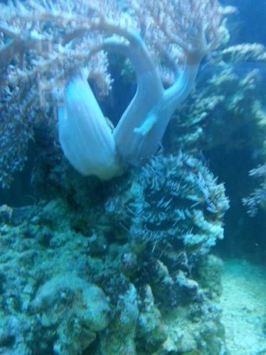 20121121_130717.jpg