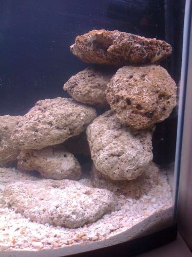 Billede0560.jpg (36.69 KiB) Vist 2957 gange Som det ser ud pt