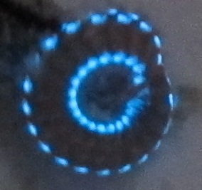 Glowing fire worm.JPG
