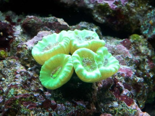 20121126_183838.jpg